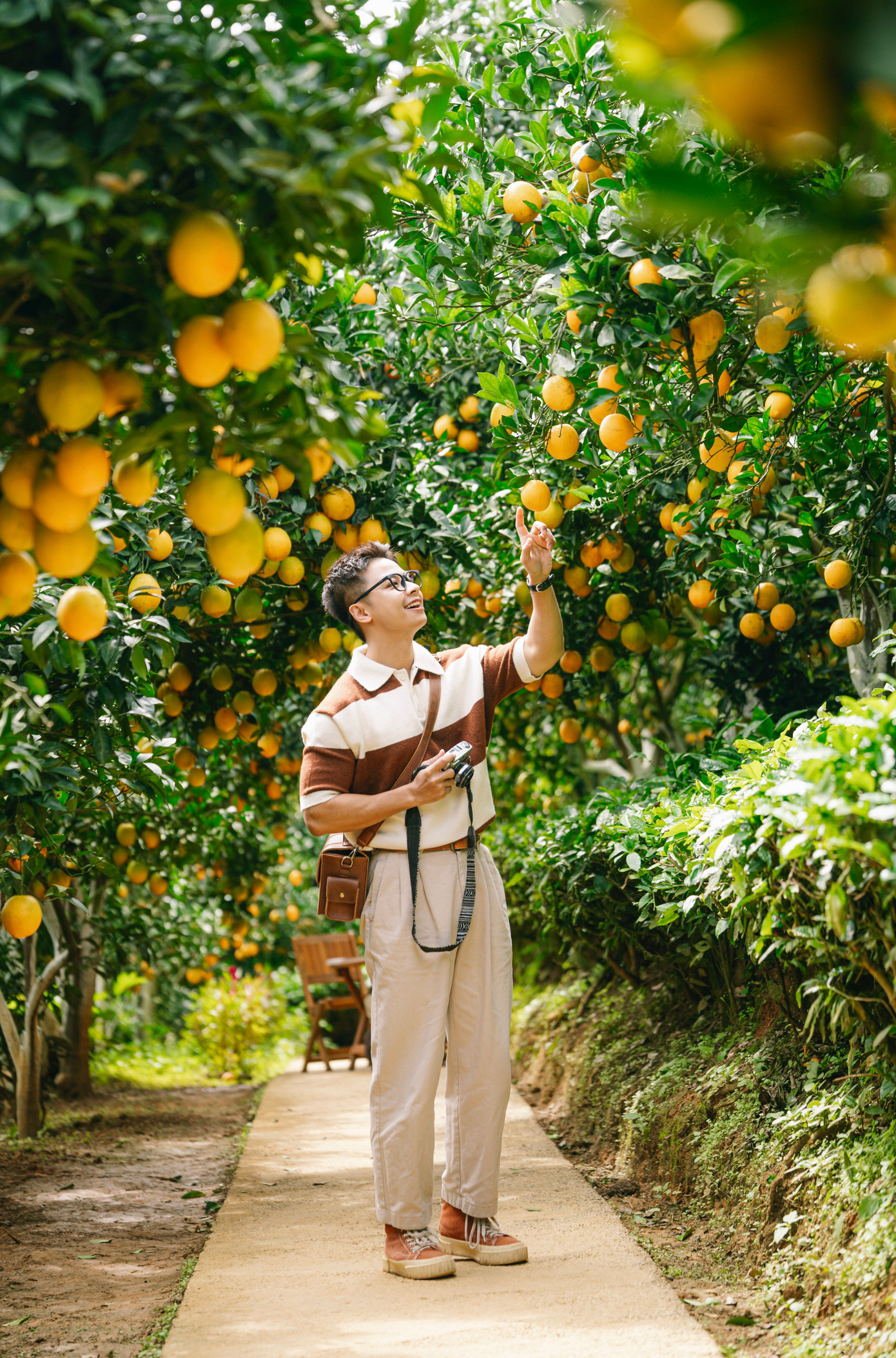 Vườn cam như trong phim hút khách du lịch Mộc Châu- Ảnh 4.