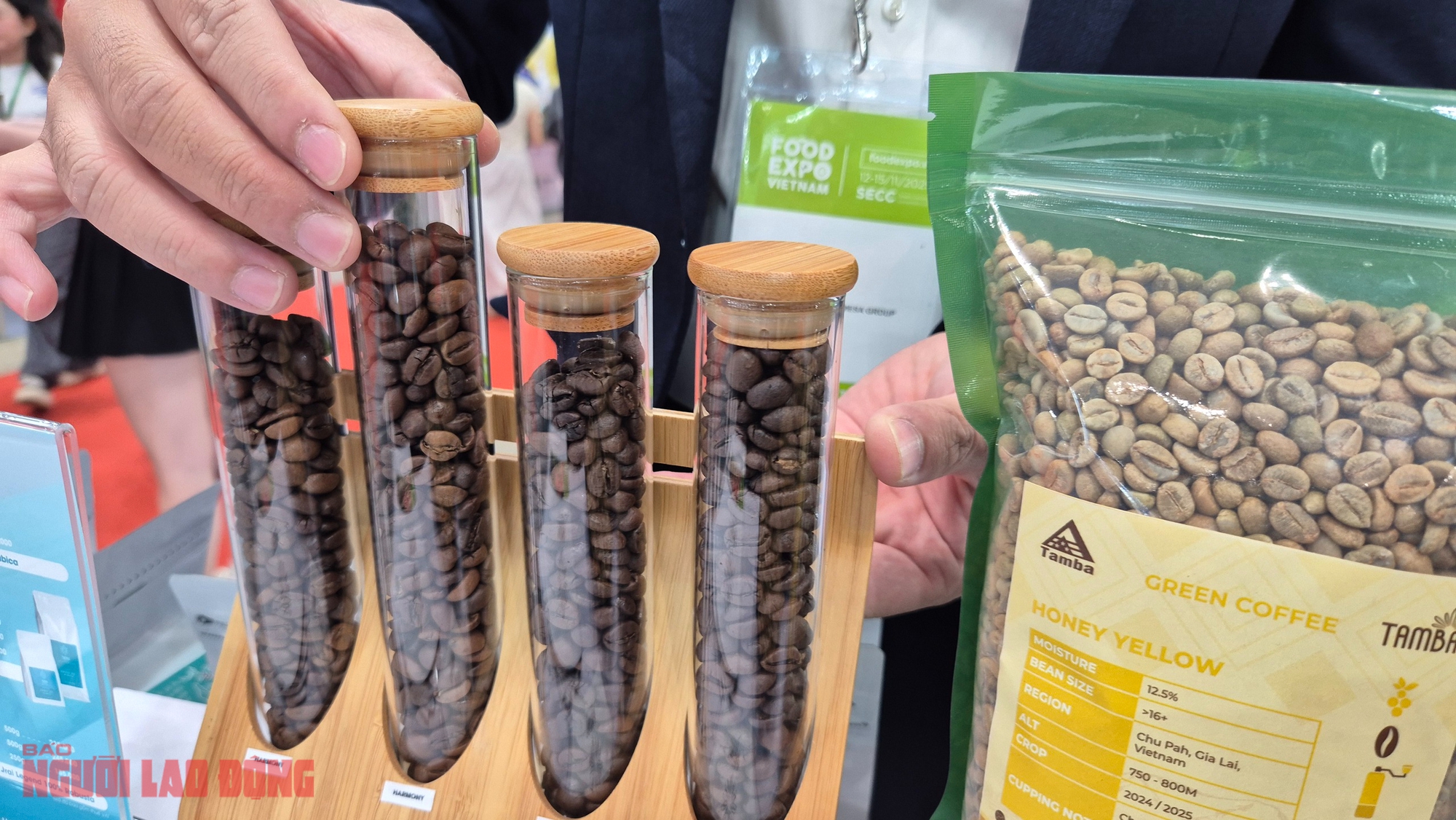 Giá cà phê hôm nay 2-12: Giảm mạnh, hàng trăm nhà mua hàng quốc tế đang quy tụ tại TP HCM- Ảnh 1.