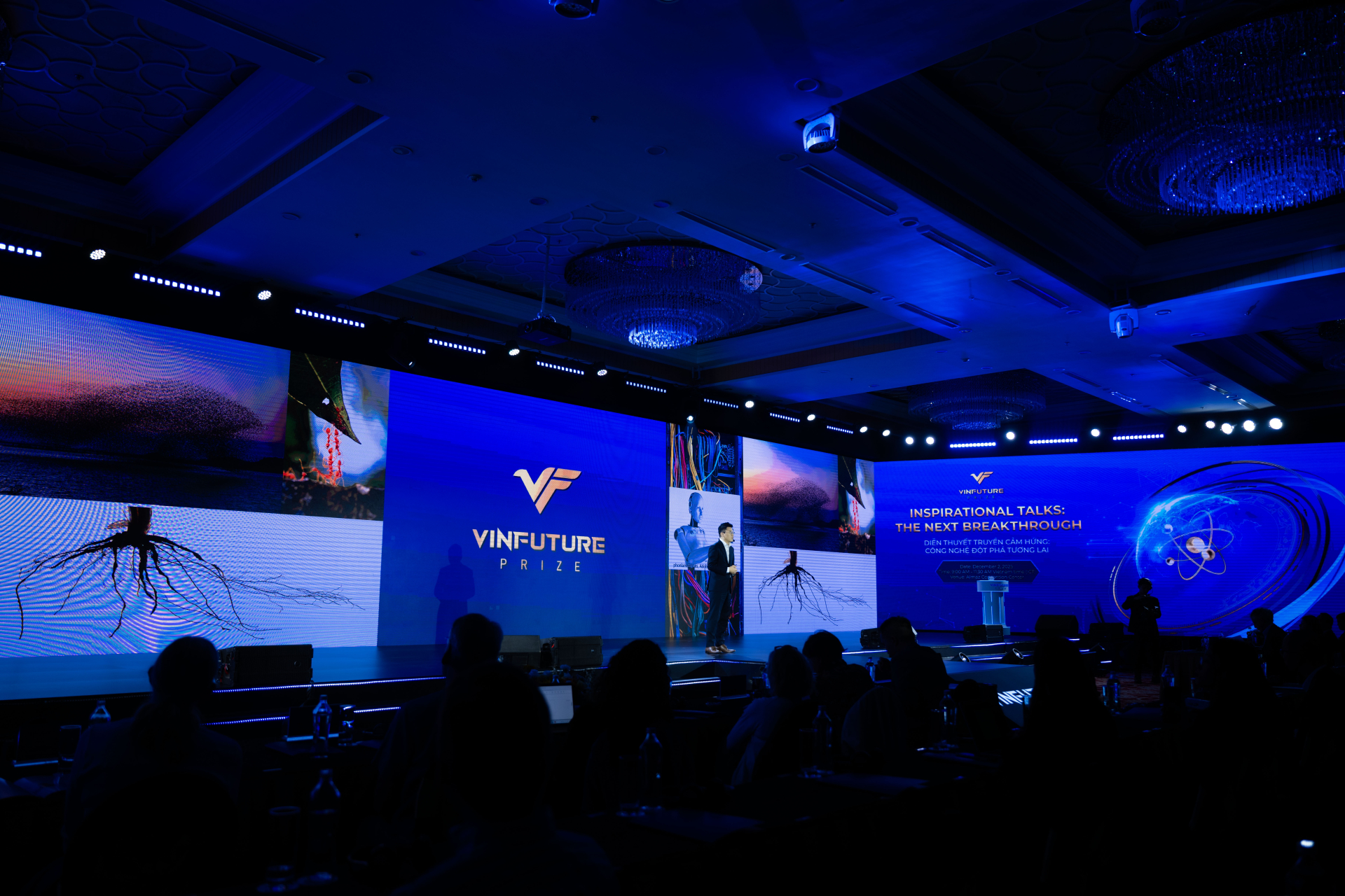 Cậu bé tò mò về cách đàn kiến "vận chuyển thức ăn" trong vườn nhà trở thành Giáo sư trí tuệ vật lý- Ảnh 4.