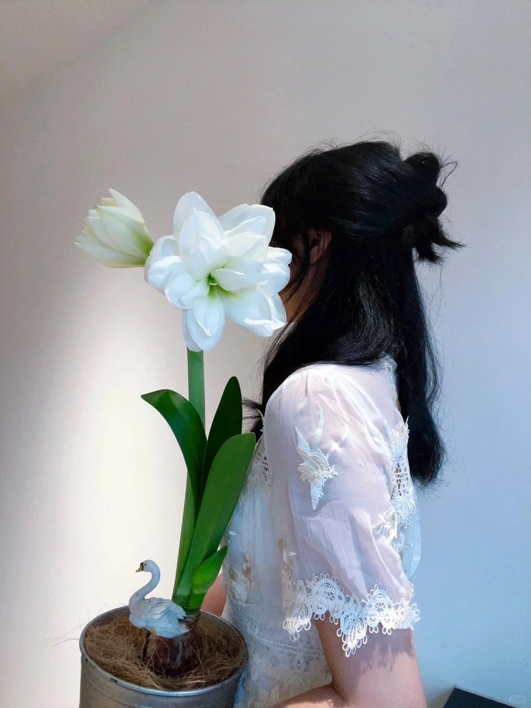 Nhiều chị em đang mê đắm loài hoa này: Cắm bình cũng đẹp, để cả chậu cũng sang, Tết nhìn là thấy giàu- Ảnh 2.