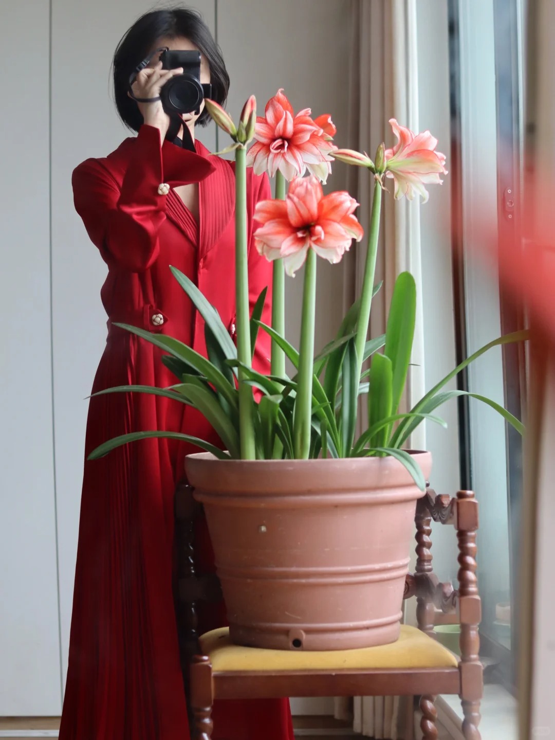 Nhiều chị em đang mê đắm loài hoa này: Cắm bình cũng đẹp, để cả chậu cũng sang, Tết nhìn là thấy giàu- Ảnh 4.