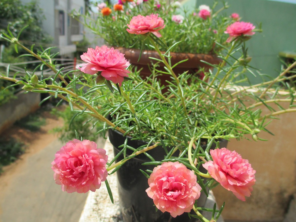 4 dấu hiệu nhận biết ngôi nhà có PHÚC LỘC, vượng vận đến 3 đời- Ảnh 2.