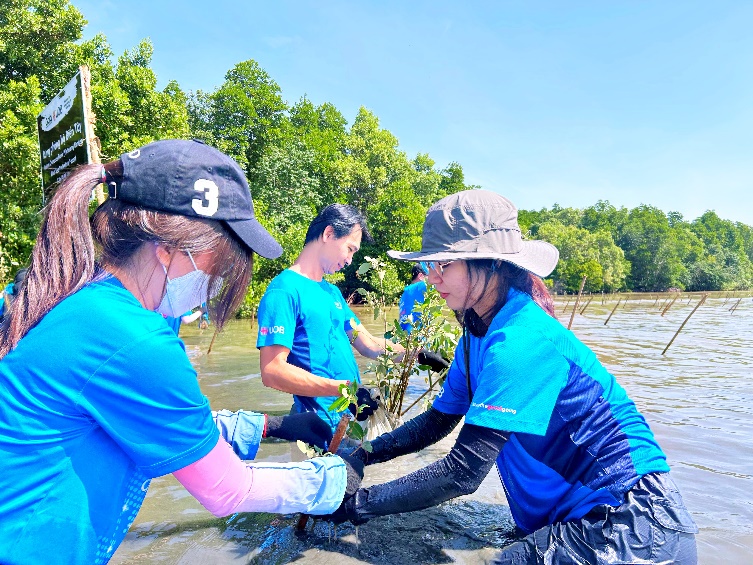 Ngân hàng UOB Việt Nam khởi động dự án trồng 10.000 cây tại rừng phòng hộ Biển Tây, chung tay vì nỗ lực chống biến đổi khí hậu ở Việt Nam- Ảnh 2.