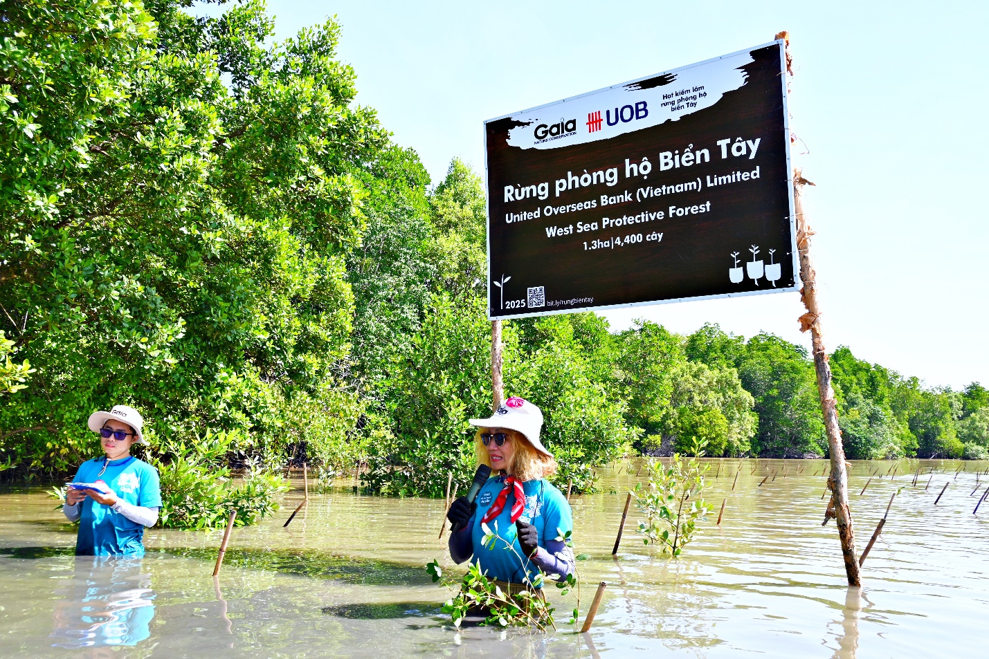 Ngân hàng UOB Việt Nam khởi động dự án trồng 10.000 cây tại rừng phòng hộ Biển Tây, chung tay vì nỗ lực chống biến đổi khí hậu ở Việt Nam- Ảnh 4.