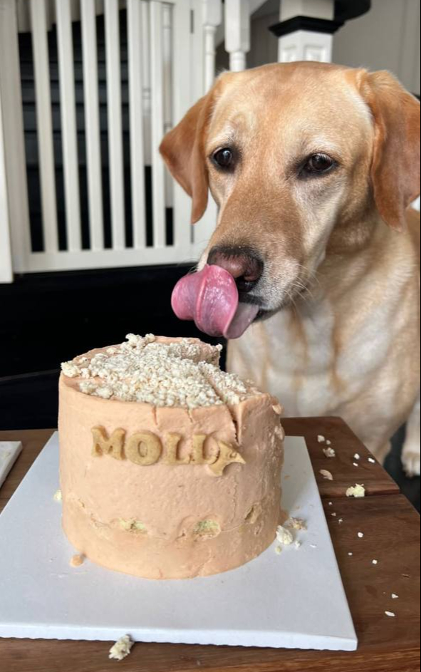 Tình hình hiện tại của Tăng Thanh Hà- Ảnh 4.