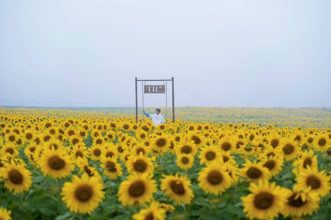 Nơi được quan tâm nhất lúc này ở Nghệ An: Cảnh như nước ngoài, mở cửa miễn phí nhưng có lưu ý đặc biệt- Ảnh 7.