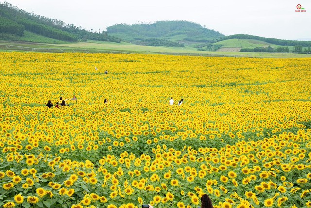 Nơi được quan tâm nhất lúc này ở Nghệ An: Cảnh như nước ngoài, mở cửa miễn phí nhưng có lưu ý đặc biệt- Ảnh 1.