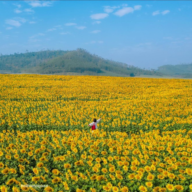 Nơi được quan tâm nhất lúc này ở Nghệ An: Cảnh như nước ngoài, mở cửa miễn phí nhưng có lưu ý đặc biệt- Ảnh 15.