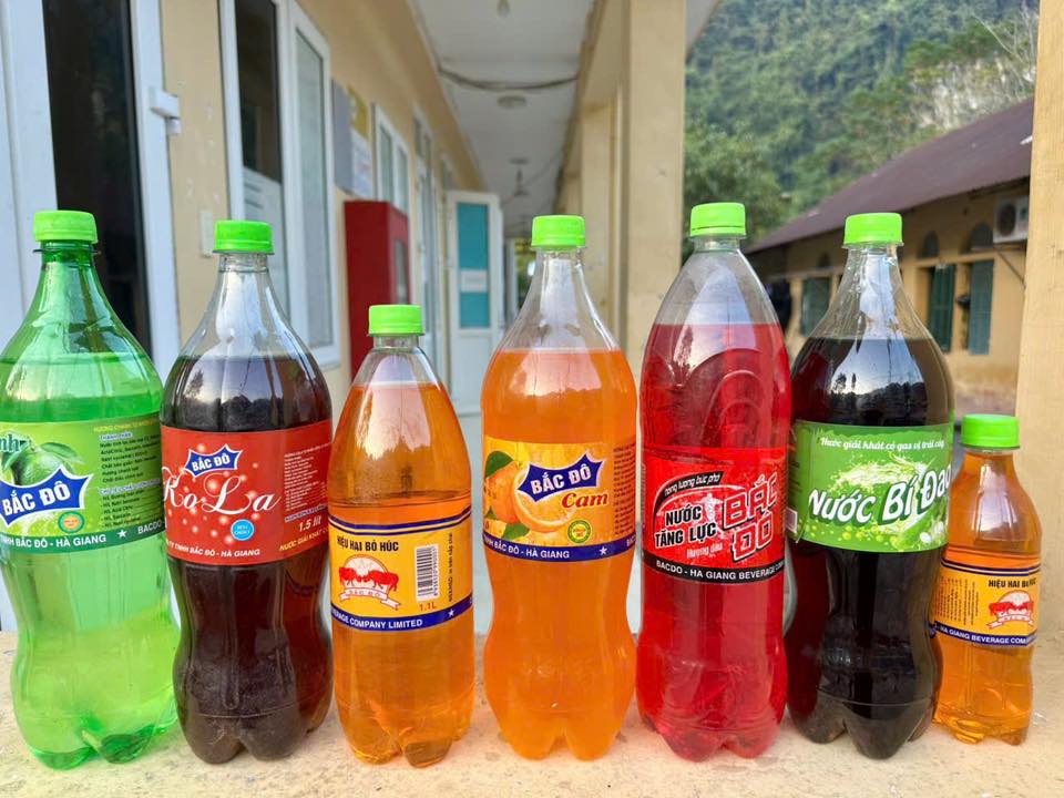 Thi hành lệnh bắt tạm giam chủ công ty nước giải khát Nguyễn Ngọc Sơn - Ảnh 2.