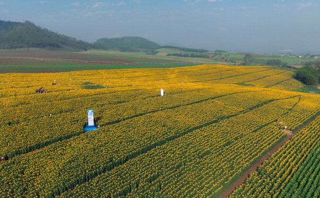 Nơi được quan tâm nhất lúc này ở Nghệ An: Cảnh như nước ngoài, mở cửa miễn phí nhưng có lưu ý đặc biệt- Ảnh 6.