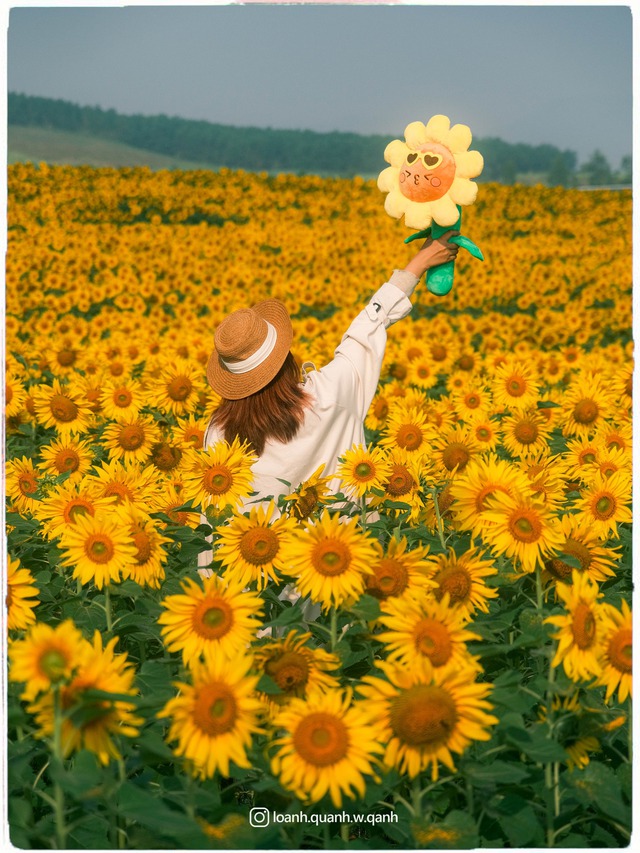 Nơi được quan tâm nhất lúc này ở Nghệ An: Cảnh như nước ngoài, mở cửa miễn phí nhưng có lưu ý đặc biệt- Ảnh 18.