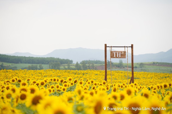 Nơi được quan tâm nhất lúc này ở Nghệ An: Cảnh như nước ngoài, mở cửa miễn phí nhưng có lưu ý đặc biệt- Ảnh 4.