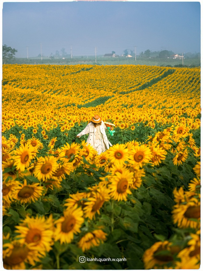 Nơi được quan tâm nhất lúc này ở Nghệ An: Cảnh như nước ngoài, mở cửa miễn phí nhưng có lưu ý đặc biệt- Ảnh 14.