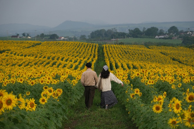 Nơi được quan tâm nhất lúc này ở Nghệ An: Cảnh như nước ngoài, mở cửa miễn phí nhưng có lưu ý đặc biệt- Ảnh 12.