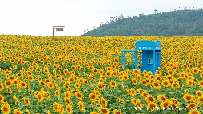 Nơi được quan tâm nhất lúc này ở Nghệ An: Cảnh như nước ngoài, mở cửa miễn phí nhưng có lưu ý đặc biệt- Ảnh 3.