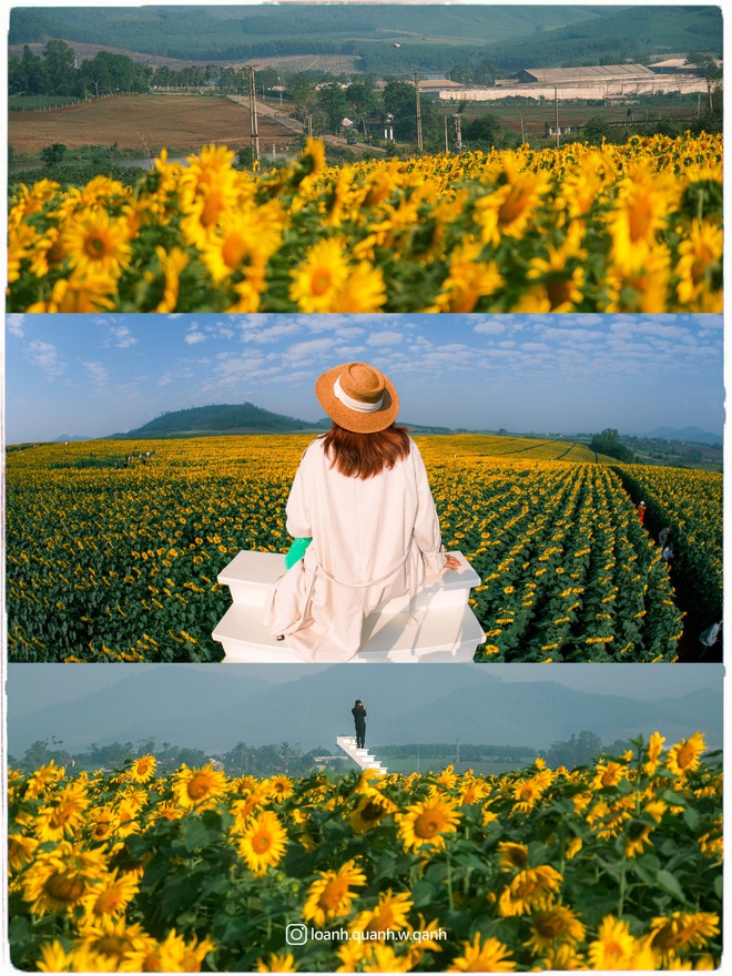 Nơi được quan tâm nhất lúc này ở Nghệ An: Cảnh như nước ngoài, mở cửa miễn phí nhưng có lưu ý đặc biệt- Ảnh 11.