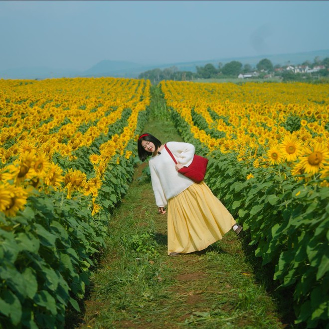 Nơi được quan tâm nhất lúc này ở Nghệ An: Cảnh như nước ngoài, mở cửa miễn phí nhưng có lưu ý đặc biệt- Ảnh 16.