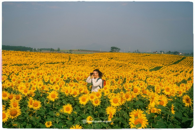 Nơi được quan tâm nhất lúc này ở Nghệ An: Cảnh như nước ngoài, mở cửa miễn phí nhưng có lưu ý đặc biệt- Ảnh 13.
