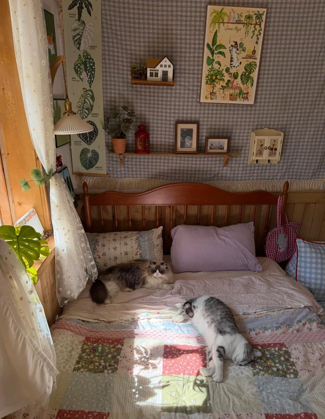 Cụ bà 70 tuổi thầm lặng sống trong căn nhà nhỏ: Tự chăm sóc bản thân, không làm gánh nặng cho con cháu- Ảnh 3.