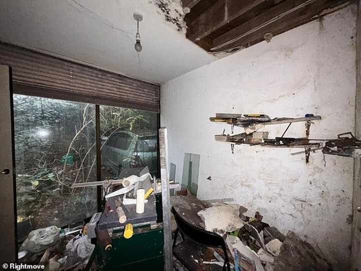 Cảnh tượng khó tin bên trong ngôi nhà hoang đổ nát, giá hơn 34 tỷ đồng- Ảnh 7.