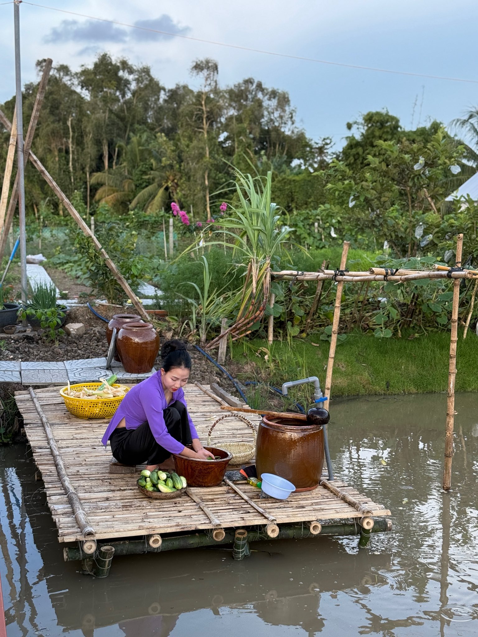 Bỏ phố về quê, vợ chồng miền Tây biến mảnh đất 3.000m2 khô cằn thành khu vườn được quy hoạch thẳng tắp như "chơi game" - Ảnh 15.