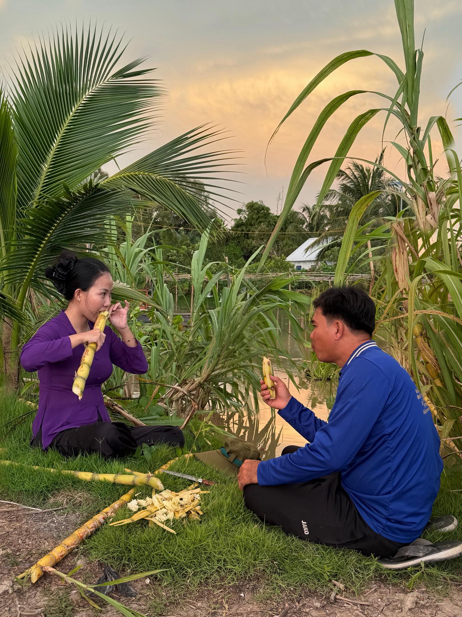 Bỏ phố về quê, vợ chồng miền Tây biến mảnh đất 3.000m2 khô cằn thành khu vườn được quy hoạch thẳng tắp như "chơi game" - Ảnh 16.