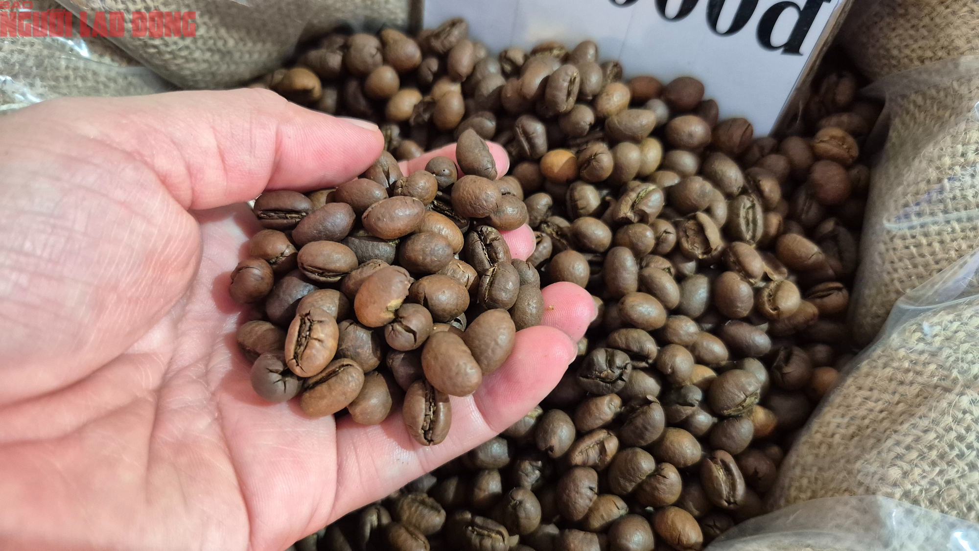 Giá cà phê hôm nay 21-12: Về lại mốc 90.000 đồng/kg  - Ảnh 1.