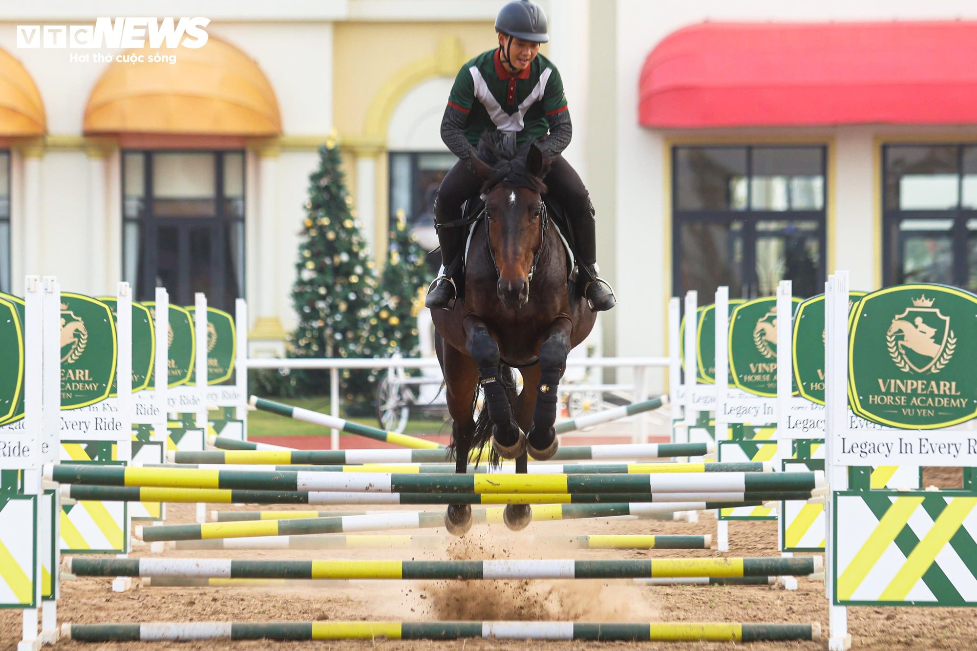 Bên trong nơi nuôi dưỡng giống ngựa triệu đô hiếm bậc nhất thế giới tại Việt Nam- Ảnh 11.