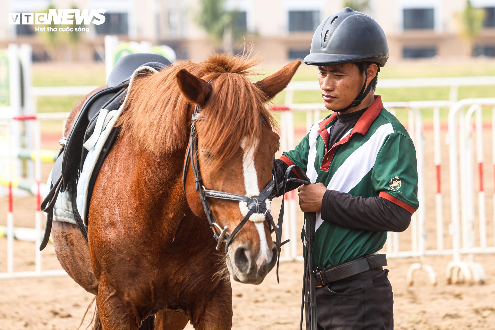 Bên trong nơi nuôi dưỡng giống ngựa triệu đô hiếm bậc nhất thế giới tại Việt Nam- Ảnh 4.