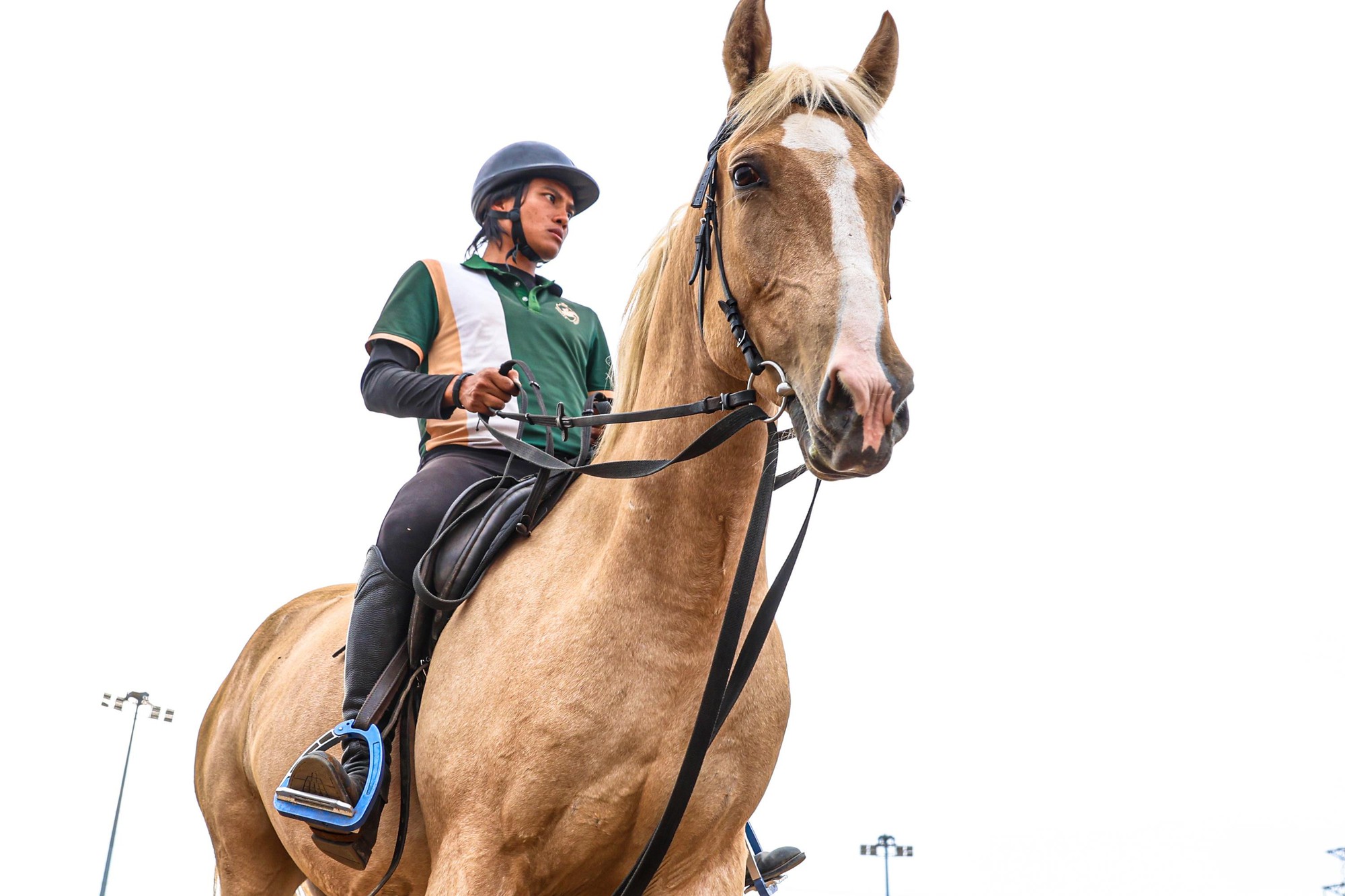 Bên trong nơi nuôi dưỡng giống ngựa triệu đô hiếm bậc nhất thế giới tại Việt Nam- Ảnh 5.