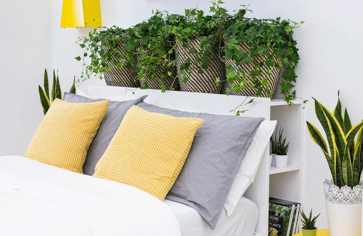 Người xưa dạy: Phòng ngủ chật đến đâu cũng đừng dại đặt 6 thứ này ở đầu giường, giật mình vì toàn món quen- Ảnh 2.