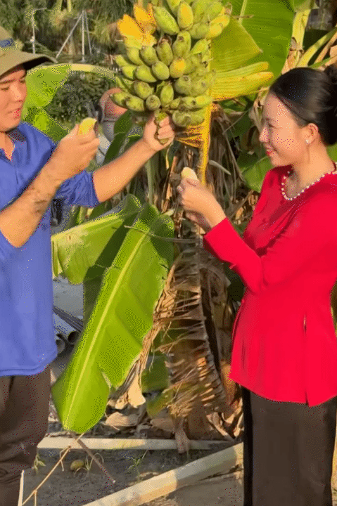 Bỏ phố về quê, vợ chồng miền Tây biến mảnh đất 3.000m2 khô cằn thành khu vườn được quy hoạch thẳng tắp như "chơi game" - Ảnh 18.