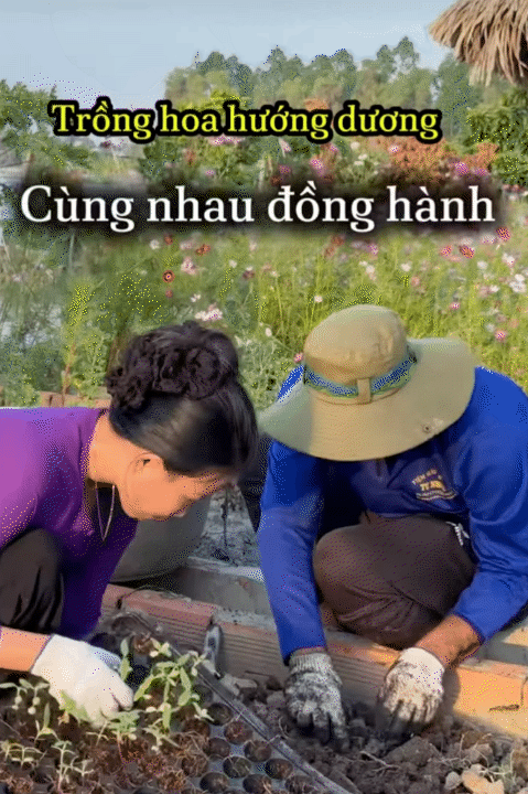 Bỏ phố về quê, vợ chồng miền Tây biến mảnh đất 3.000m2 khô cằn thành khu vườn được quy hoạch thẳng tắp như "chơi game" - Ảnh 19.