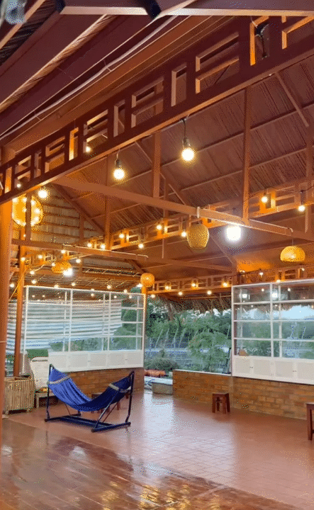 Bỏ phố về quê, vợ chồng miền Tây biến mảnh đất 3.000m2 khô cằn thành khu vườn được quy hoạch thẳng tắp như "chơi game" - Ảnh 6.