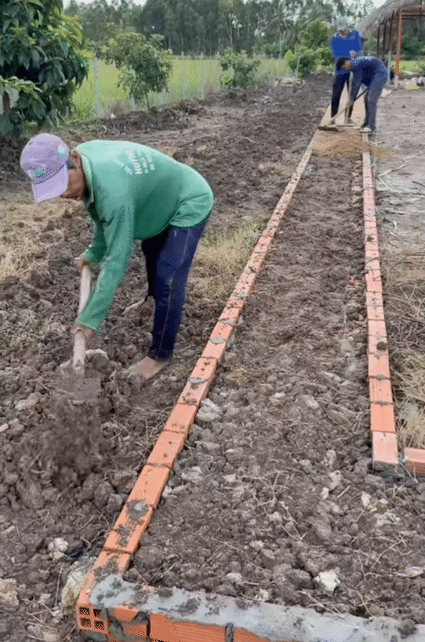 Bỏ phố về quê, vợ chồng miền Tây biến mảnh đất 3.000m2 khô cằn thành khu vườn được quy hoạch thẳng tắp như "chơi game" - Ảnh 12.