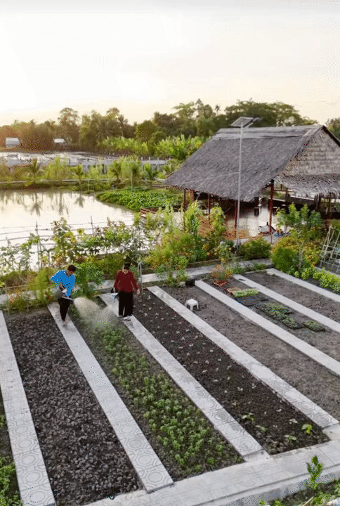 Bỏ phố về quê, vợ chồng miền Tây biến mảnh đất 3.000m2 khô cằn thành khu vườn được quy hoạch thẳng tắp như "chơi game" - Ảnh 9.