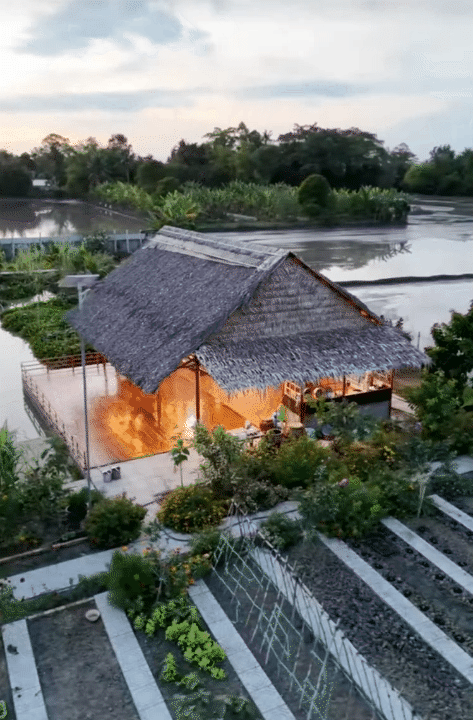 Bỏ phố về quê, vợ chồng miền Tây biến mảnh đất 3.000m2 khô cằn thành khu vườn được quy hoạch thẳng tắp như "chơi game" - Ảnh 4.