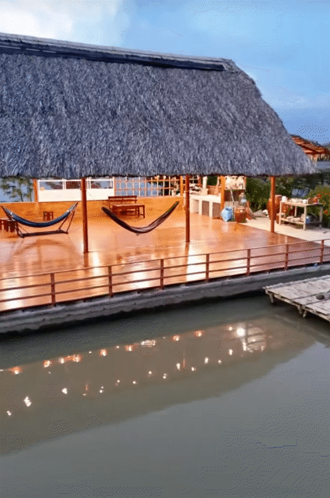 Bỏ phố về quê, vợ chồng miền Tây biến mảnh đất 3.000m2 khô cằn thành khu vườn được quy hoạch thẳng tắp như "chơi game" - Ảnh 5.