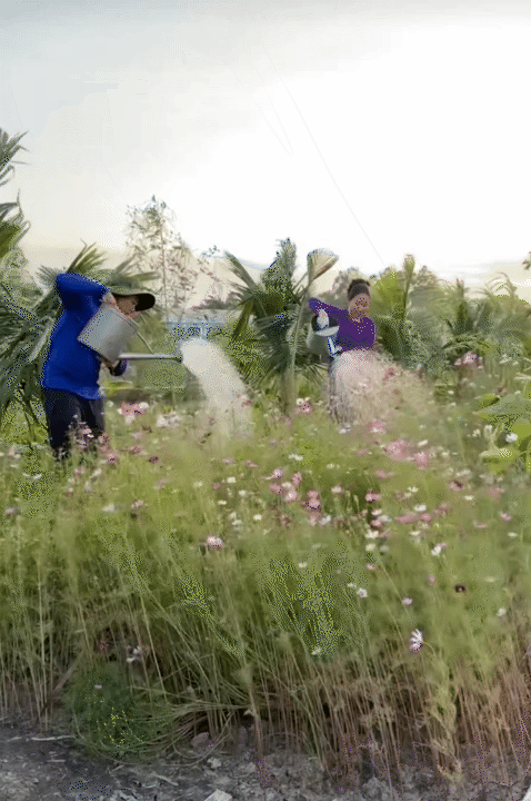 Bỏ phố về quê, vợ chồng miền Tây biến mảnh đất 3.000m2 khô cằn thành khu vườn được quy hoạch thẳng tắp như "chơi game" - Ảnh 10.