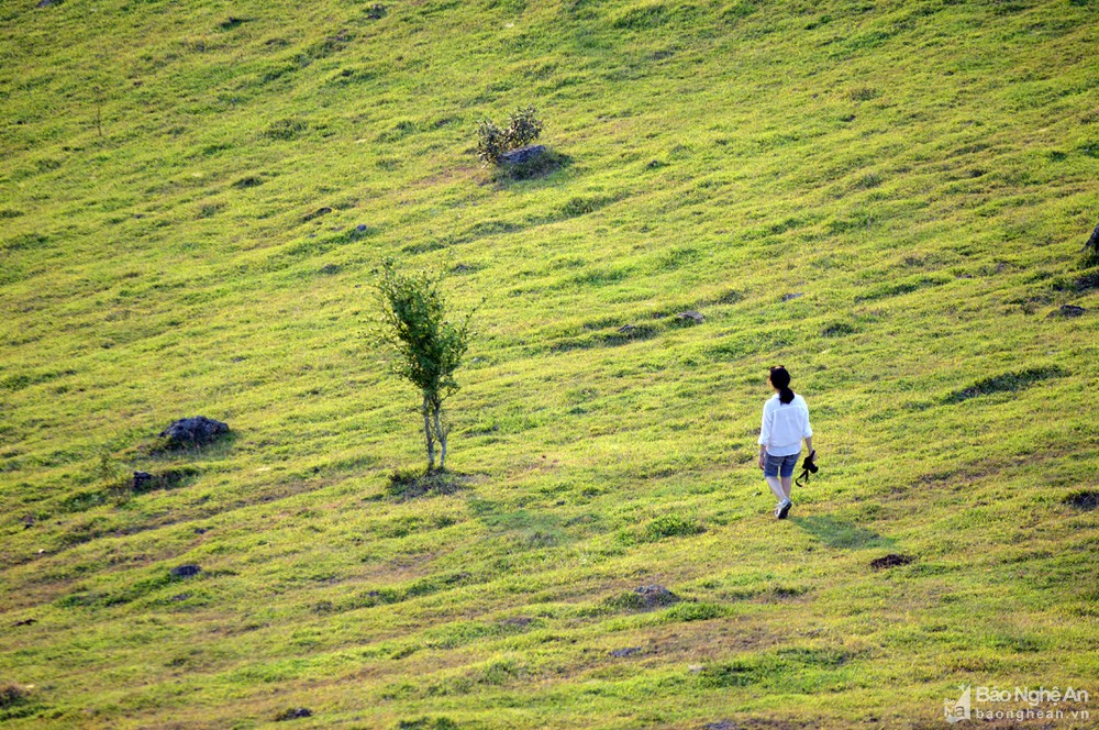 Ngọn núi ở Nghệ An cao chỉ hơn 100m, du khách nhận xét cảnh như nước ngoài, trên đỉnh có di tích đặc biệt - Ảnh 13.