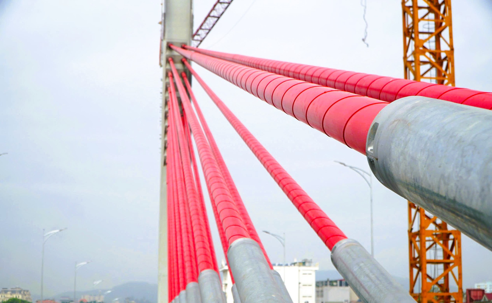 Cầu dây văng đầu tiên vượt đường sắt Bắc - Nam ở Thanh Hóa - Ảnh 7.