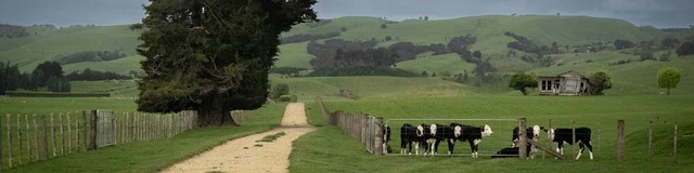 Những câu chuyện khoa học nổi bật nhất năm 2025: Từ tham vọng hồi sinh quái thú đến những 