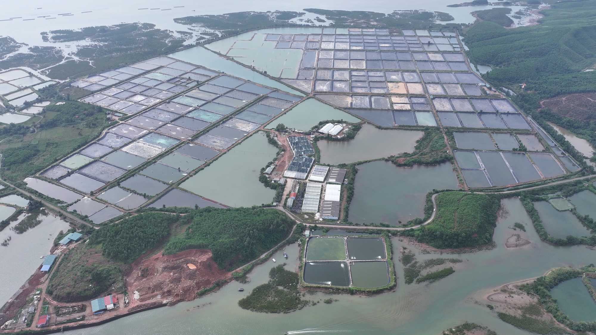 BIM Group triển khai loạt dự án định hình tăng trưởng xanh, bền vững tại Quảng Ninh - Ảnh 1.