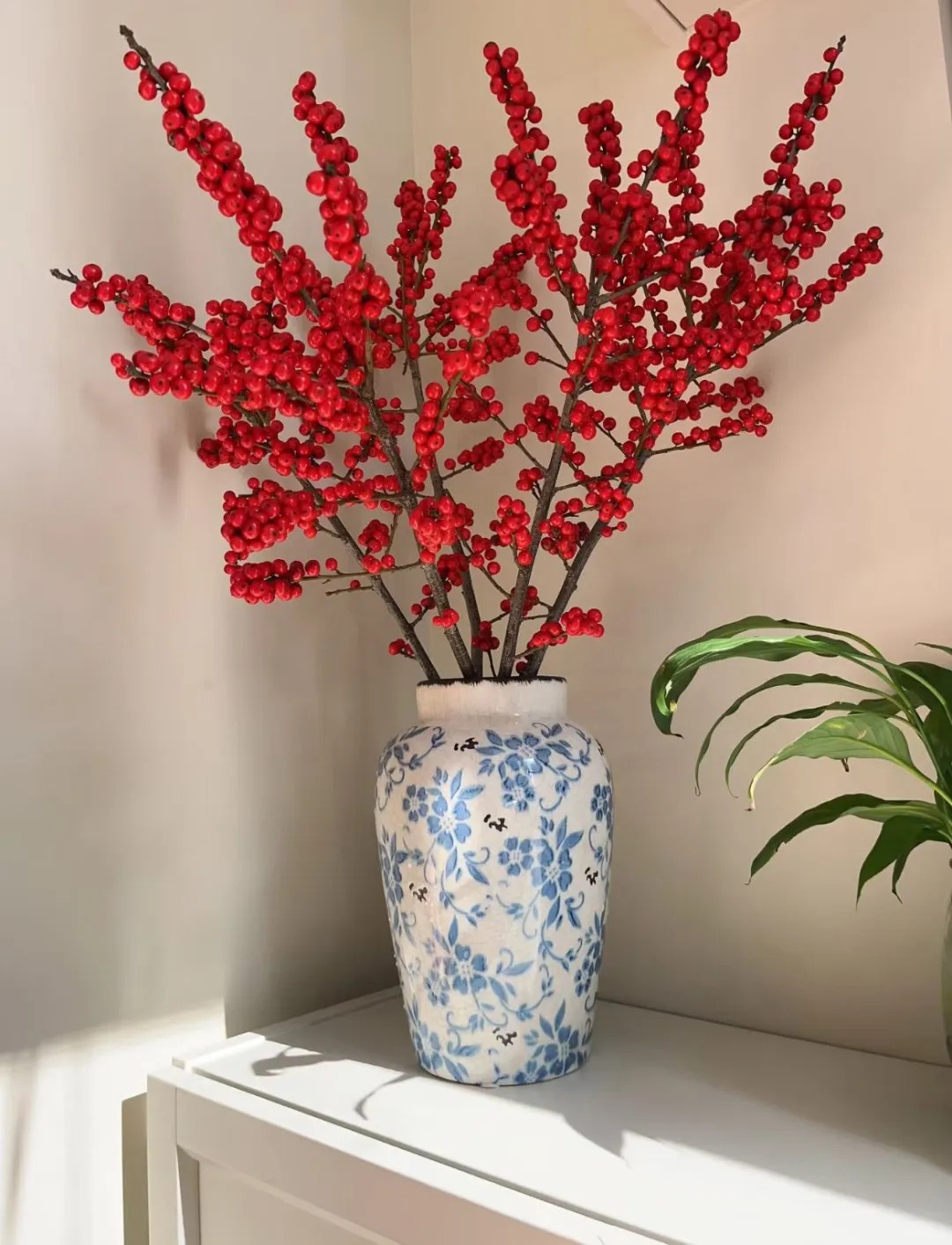 Bí kíp cắm đào đông đỏ chơi bền xuyên Tết 2026: Loài "trân châu đỏ" giúp gia chủ vượng khí, đỏ vận cả năm - Ảnh 18.