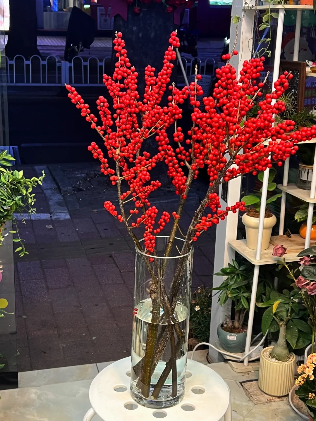 Bí kíp cắm đào đông đỏ chơi bền xuyên Tết 2026: Loài "trân châu đỏ" giúp gia chủ vượng khí, đỏ vận cả năm - Ảnh 10.