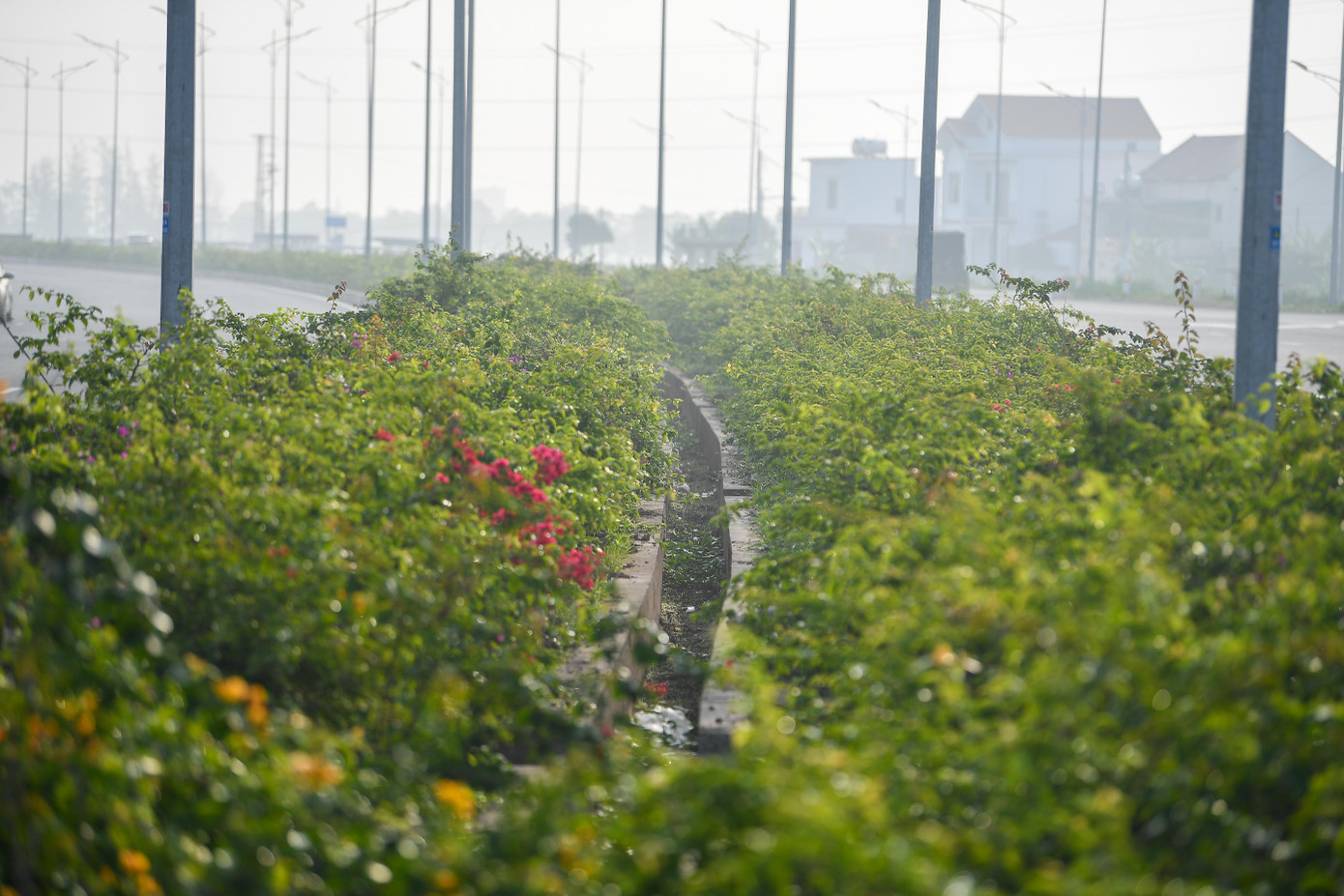 Dự án giao thông Ninh Bình 6 . 000 Tỷ kết nối vùng ven biển và phát triển kinh tế - Ảnh 4.