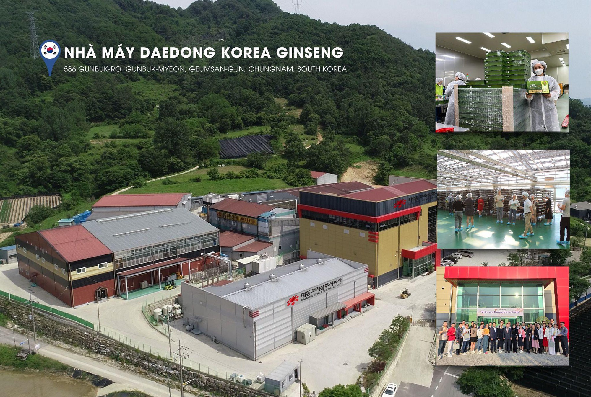 DKG trở thành lựa chọn quà Tết của nhiều doanh nghiệp năm 2026- Ảnh 4.