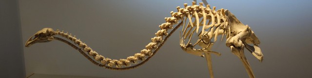 Những câu chuyện khoa học nổi bật nhất năm 2025: Từ tham vọng hồi sinh quái thú đến những 