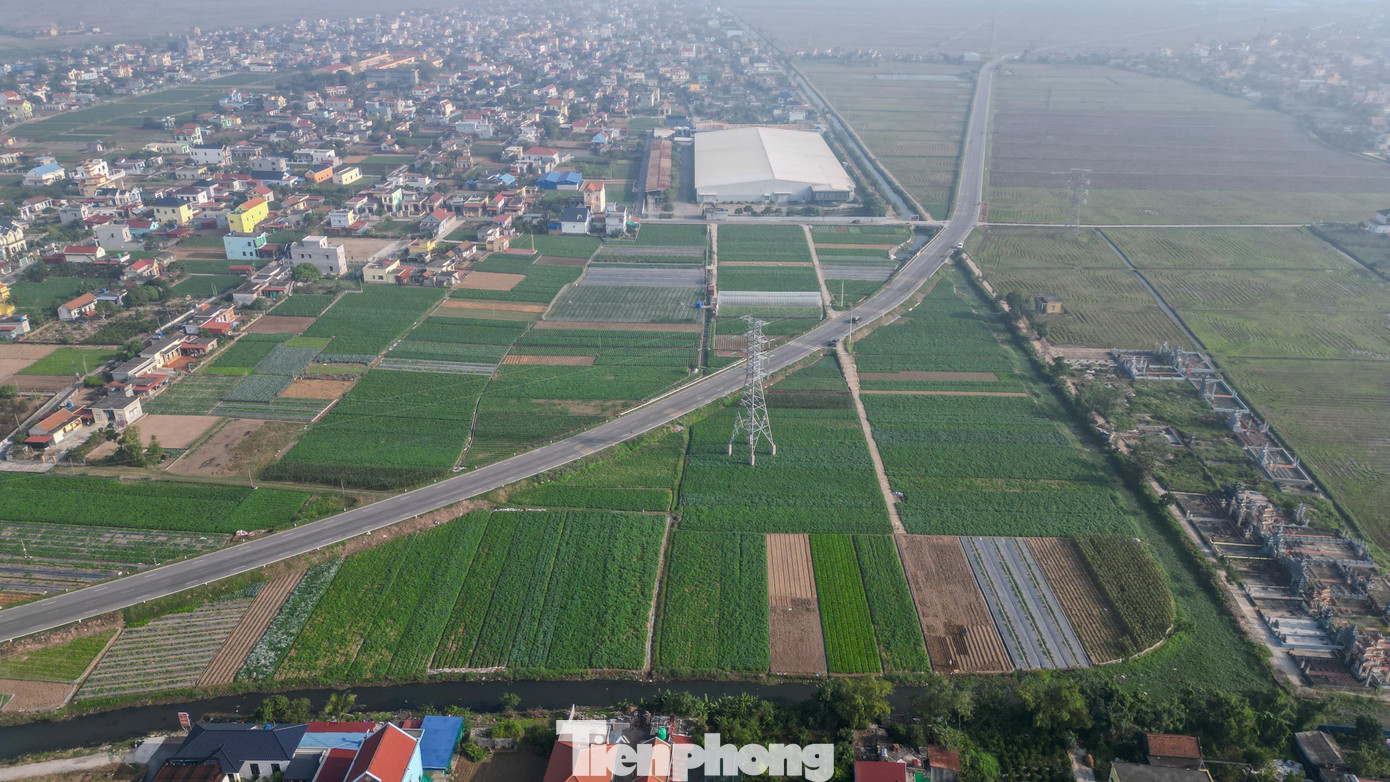 Dự án giao thông Ninh Bình 6 . 000 Tỷ kết nối vùng ven biển và phát triển kinh tế - Ảnh 14.