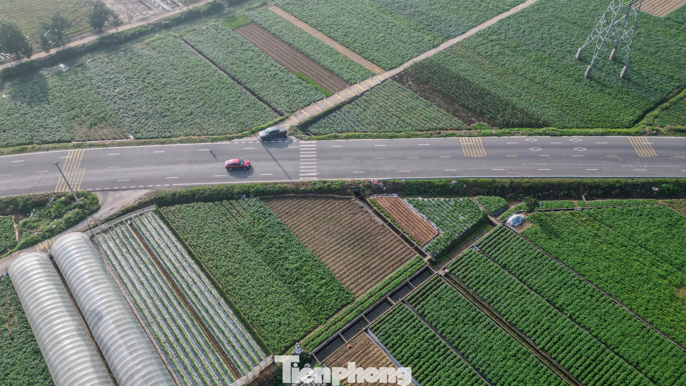 Dự án giao thông Ninh Bình 6 . 000 Tỷ kết nối vùng ven biển và phát triển kinh tế - Ảnh 7.